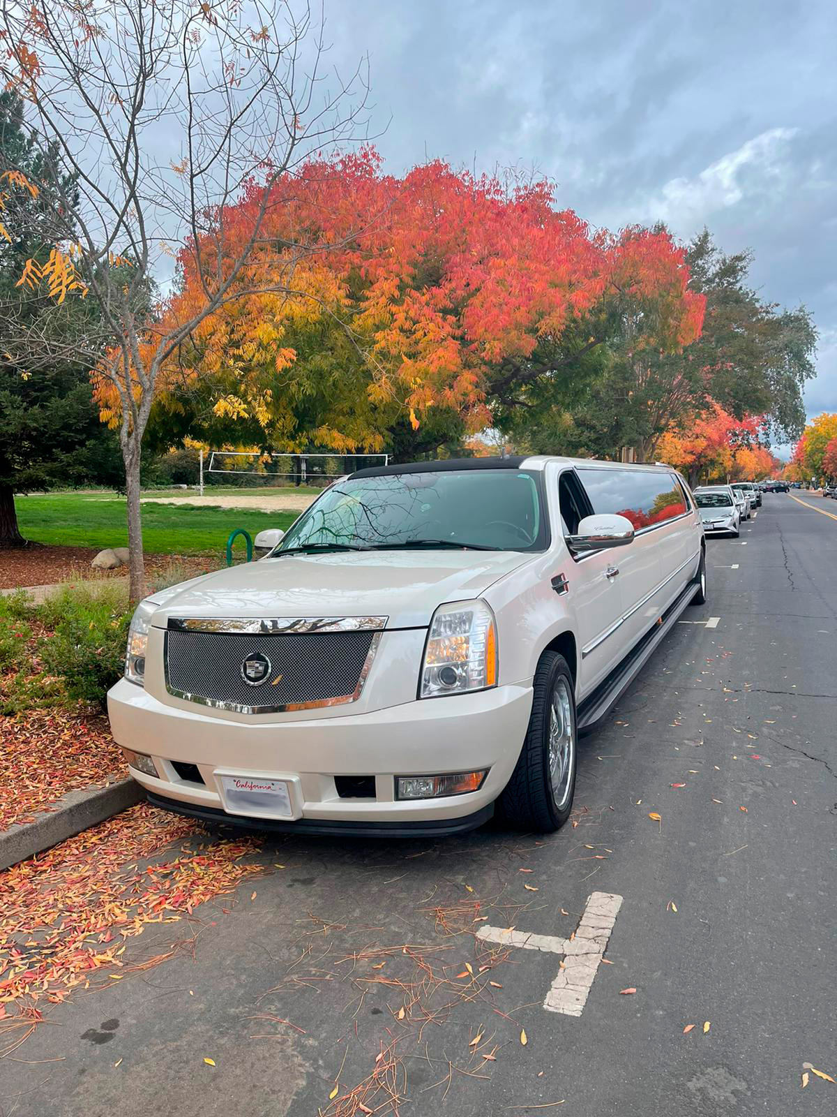 Limousines para funerales